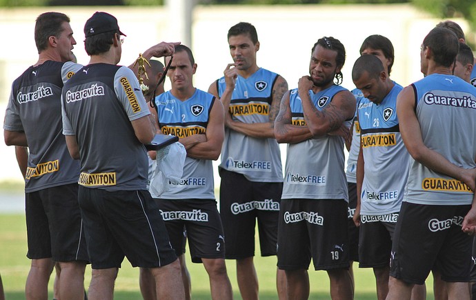 Treino Botafogo (Foto: Vitor Silva/SSPress)