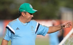 Por força extra, palmeirenses convocam torcida para quinta-feira