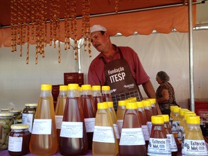 Gilberto cultimas aproximadamente 40 colmeias (Foto: Stephanie Fonseca/G1)