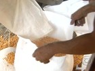 Oferta de milho nos armazéns da Conab é normalizada aos poucos