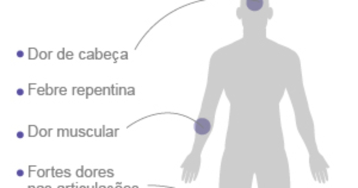 RN tem 12 municípios com risco de infestação de Aedes aegypt - Globo.com