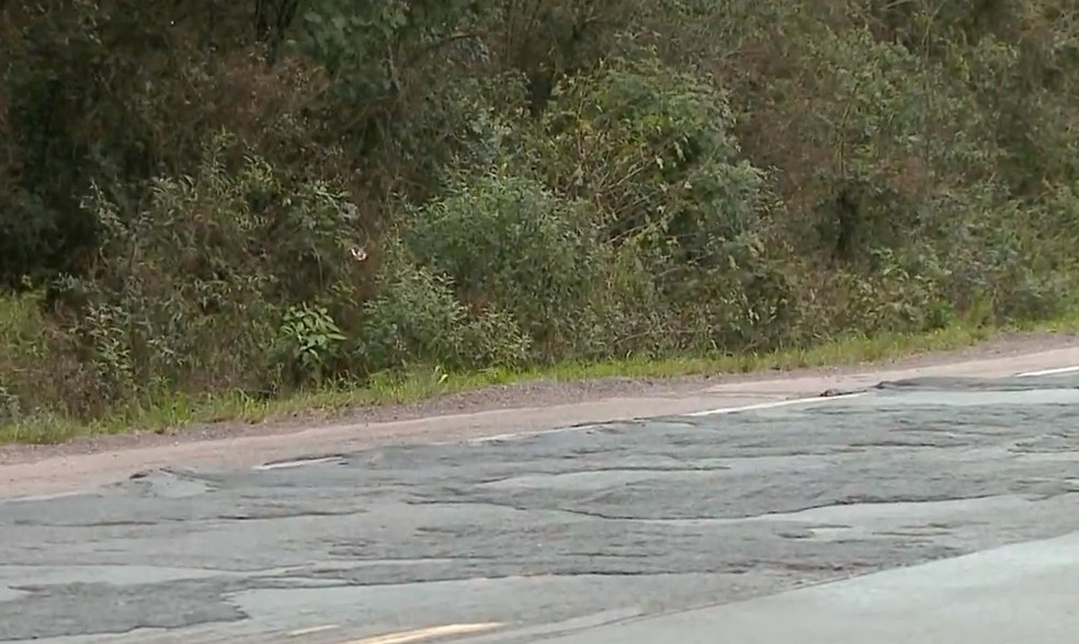 Asfalto com problemas na rodovia (Foto: Reprodução/RBS TV)