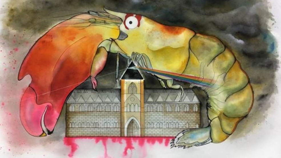 Cientistas de Oxford divulgaram capas de disco fictícias do Pink Floyd 'inspiradas' na descoberta de camarão; essa seria uma capa para o 'The Wall'  (Foto: Kate Pocklington)