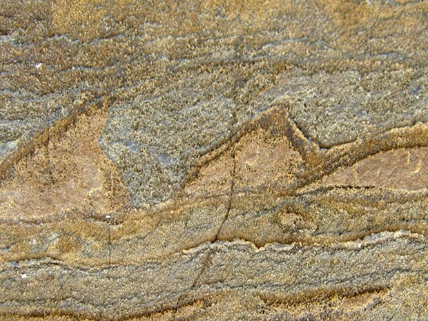 Foto cedida por Allen Nutman mostra rocha com estromatólicos que podem datar de 3.7 bilhões de anos atrás, encontrada na Groenlândia (Foto: Allen Nutman/University of Wollongong via AP)