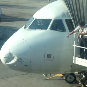 Avião da TAM tem bico amassado por impacto em voo de BH ao RJ (Isabela Scalabrini/ TV Globo)