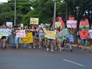 Manifestantes carregaram cartazes e faixas contra a homofobia (Foto: Fernanda Testa/G1)