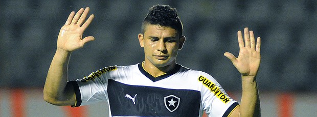 Elkeson na partida do Botafogo contra o Vitória  (Foto: Angelo Pontes / Ag. Estado)