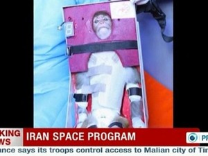 Imagem retirada de vídeo divulgado nesta segunda-feira (28) pela TV estatal iraniana mostra um macaco que foi lançado ao espaço em um foguete. A data do lançamento não foi divulgada (Foto: Reuters)