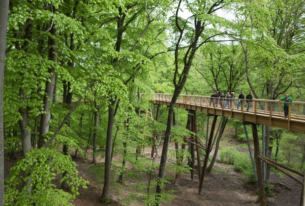 Visitantes andam por trilha dentro da reserva (Foto: Jens Buettner / Germany Out)
