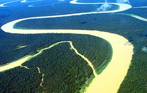Amazonia (Foto: Divulgação)