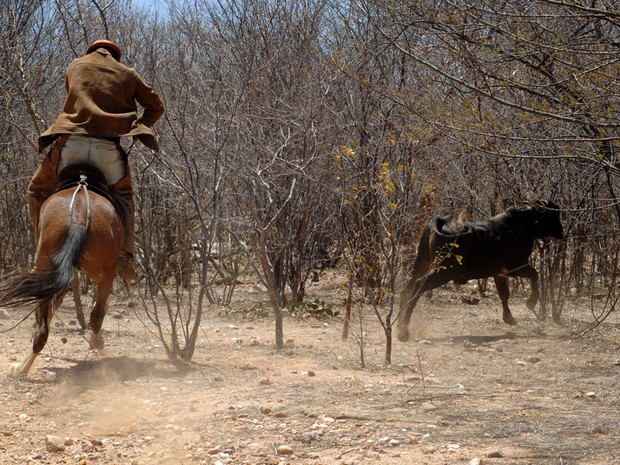 Vaqueiros realizaram tradição quase extinta no RN: a 'pega de boi' (Foto: Ney Douglas/Cedida)