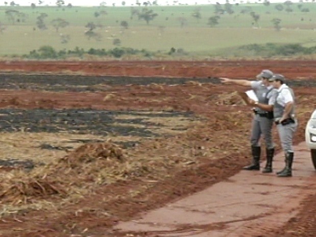 Policiais ambientais verificam a área queimada em canavial na região (Foto: Reprodução / TV Tem)