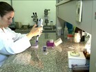 Vacina de dengue começa a ser distribuída em SP 'nos próximos dias'
