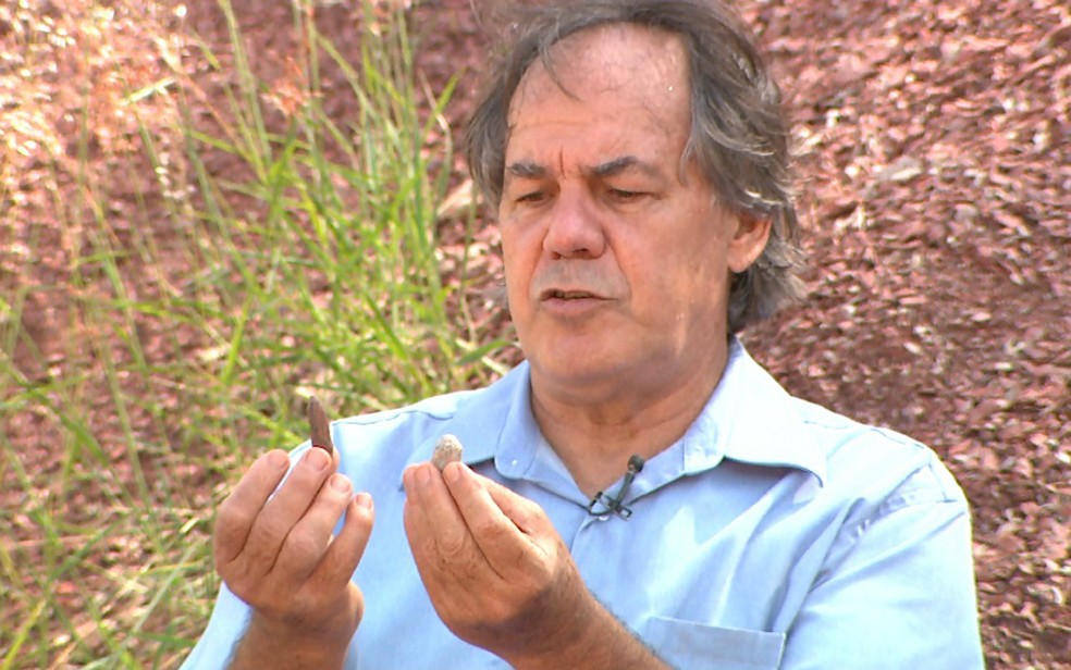 Engenheiro Marco Antônio Cornetti mostra os coprólitos, fezes fossilizadas de animais marinhos, encontradas em Santa Rosa de Viterbo, SP (Foto: Maurício Glauco/EPTV)