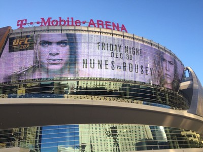 Arena Ronda x Amanda UFC 207 (Foto: Evelyn Rodrigues) Arena Ronda x Amanda UFC 207 (Foto: Evelyn Rodrigues)