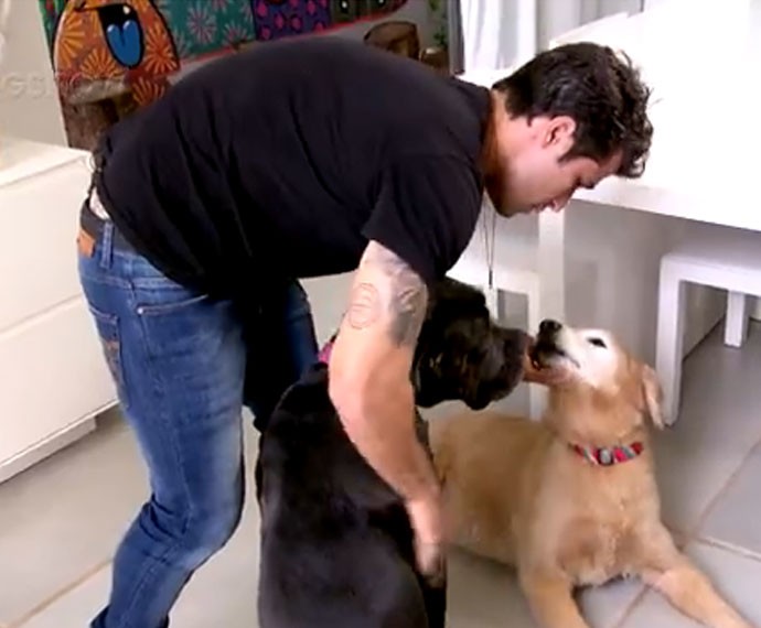 Bruno Gagliasso ama cachorros  (Foto: Gshow/ Domingão do Faustão)