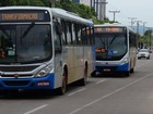 Linhas extras de ônibus atendem visitantes da Agrotins; veja horários