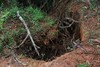 Ossada encontrada em Minas pode ser de Eliza Samudio, segundo polícia (Christyam de Lima / Jornal Agora)