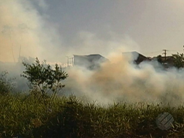 Pará registra 89 focos de queimadas durante semana do mês de junho (Foto: Reprodução/TV Liberal)