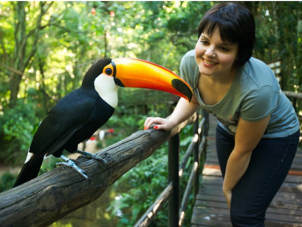 Globo Ecologia - Tráfico de Animais Silvestres - Zoológicos (Foto: Divulgação/Parque das Aves)