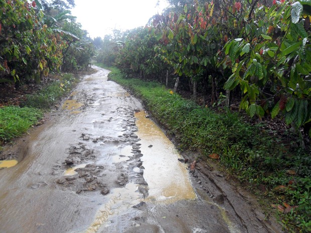 Chuva em Maraú (Foto: Jornal Tribuna da Região)