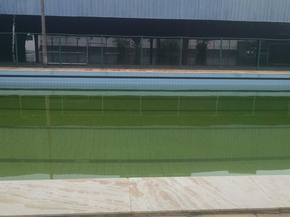 Piscina Do Ifmt Vira Criadouro De Mosquito E Preocupa Estudantes Mato Grosso G1