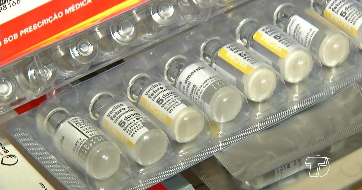 Mutirão de vacinação contra a febre amarela será realizado em ... - Globo.com