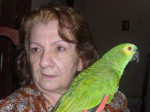 Idosa briga na Justiça para ficar com papagaio que era do filho assassinado (Foto: Humberta Carvalho/G1)