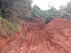 Queimada destrói 33 hectares de vegetação 
