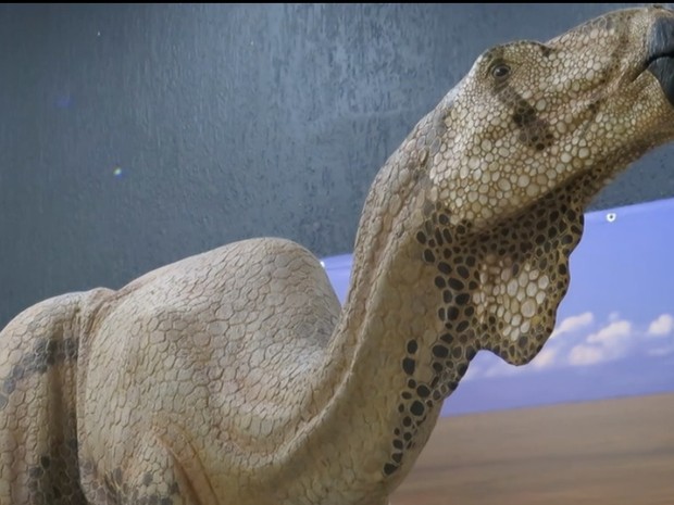 Réplica de dinossauro é uma das atrações do museu (Foto: João Paulo de Castro / G1)