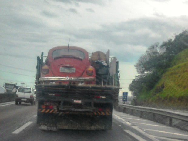 Caminhão transportava carro, animal e moto (Foto:  Marcelo Siqueira/RBS TV)