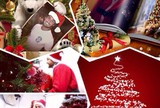 Vestido de Papai Noel, Pato divide seguidores em rede social