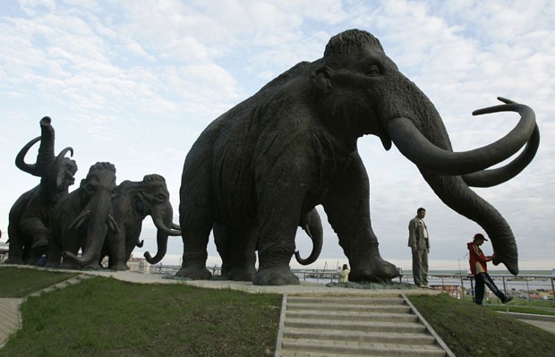 Escultura de mamutes na Rússia. Pesquisadores investigam se há células vivas em fragmentos de mamutes encontrados na Sibéria. (Foto: Dmitry Lovetsky/AP)