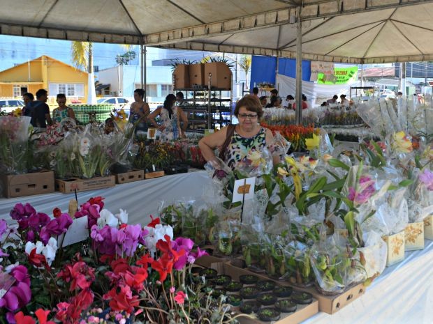 Feira ocorre até a próxima segunda (Foto: Adelcimar Carvalho/G1)