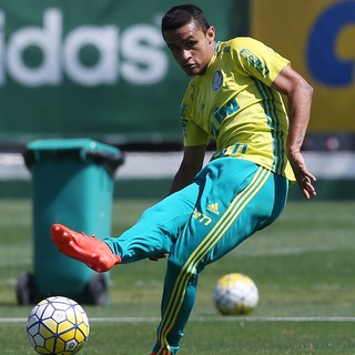 Erik Palmeiras (Foto: Cesar Greco/Ag.Palmeiras/Divulgação)