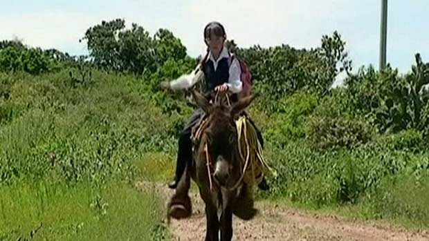 Autoridades do México usam burros como transporte escolar (Foto: BBC)