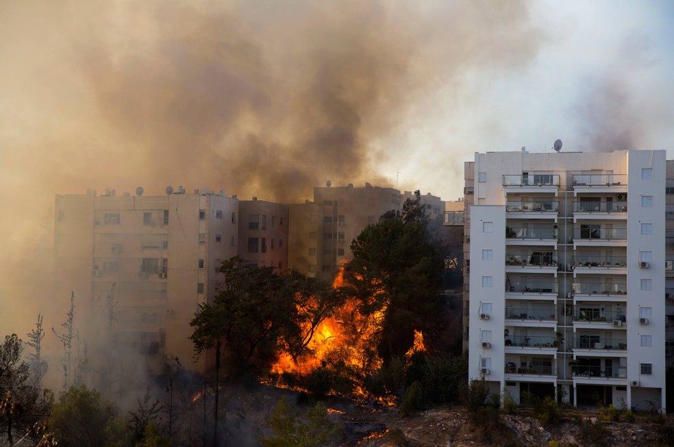 Chamas, de vários metros de altura, destruíram a vegetação nos arredores e ameaçam os imóveis de vários bairros (Foto: Ariel Schalit/AP)