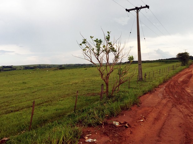 G1 Trabalhador Recebe Descarga Elétrica De 11 Mil Volts E Morre Em