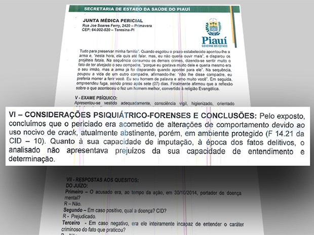 Laudo da Junta Médica Pericial atesta sanidade mental de Chiê (Foto: Reprodução) Laudo da Junta Médica Pericial atesta sanidade mental de Chiê (Foto: Reprodução)