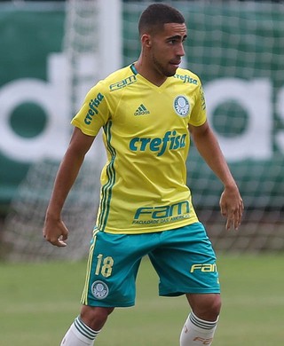 Gabriel Palmeiras (Foto: Cesar Greco / Ag. Palmeiras / Divulgação)
