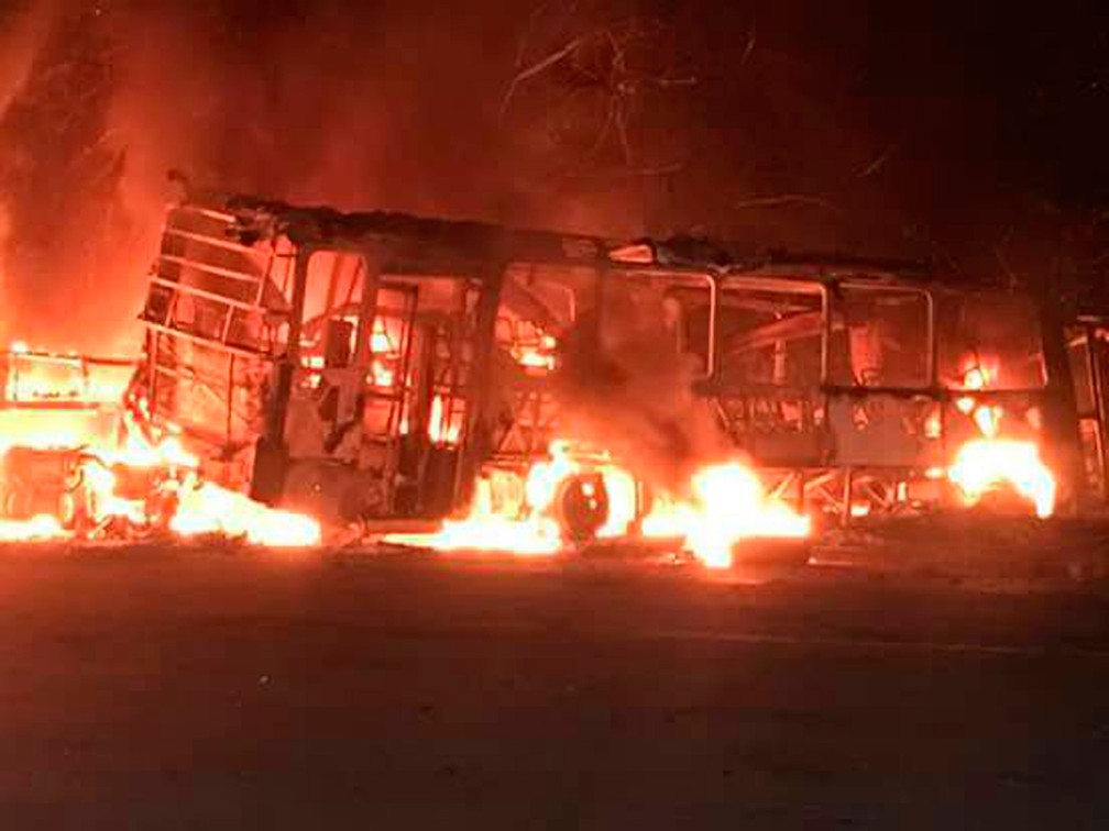 Ônibus e carreta se envolvem em acidente em Aracruz, no ES (Foto: Foto leitor/ Gazeta Online)