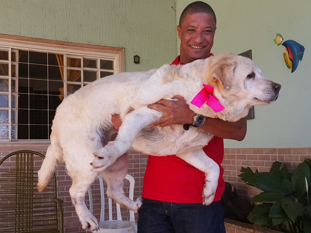 O empresrio Marco Antnio dos Santos ergue a cadela Judi, que est obesa, no colo (Foto: Raquel Morais/G1)