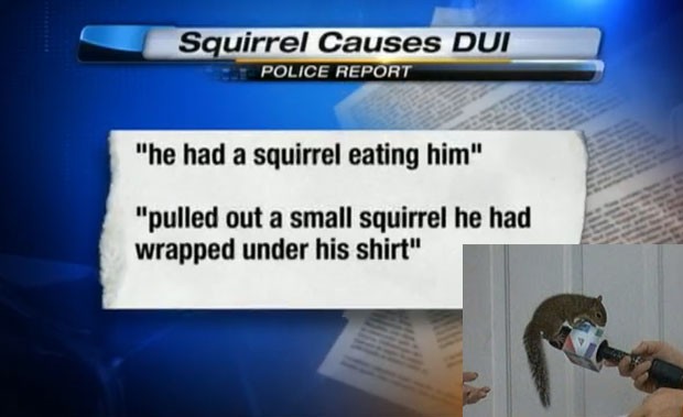 Jovem levava esquilo de estimação por baixo da camisa. (Foto: Reprodução)