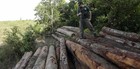 Desmatamento na Amazônia cresce 28% (Ricardo Moraes/Reuters)