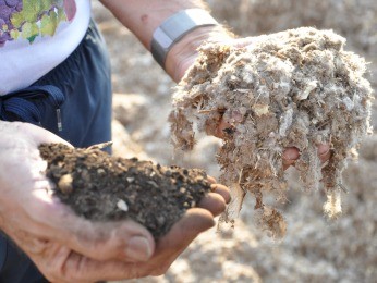 Caroço e resíduos de algodão da fazenda vizinha são usados como composto orgânico no solo (Foto: Amanda Sampaio/ G1)