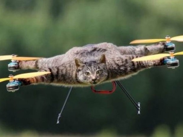Jansen quis fazer uma homenagem a seu gato que morreu e o trnasformou em um drone.  (Foto: BBC)