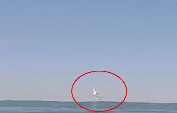Drew Palumbo estava surfando com amigo quando filmou, sem querer, grande tubarão saltando ao fundo (Foto: Reprodução/YouTube/Drew Palumbo)