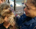 Dona acha cão 12 h após fogo destruir prédio (Rodrigo Accorsi/Rádio Planalto)