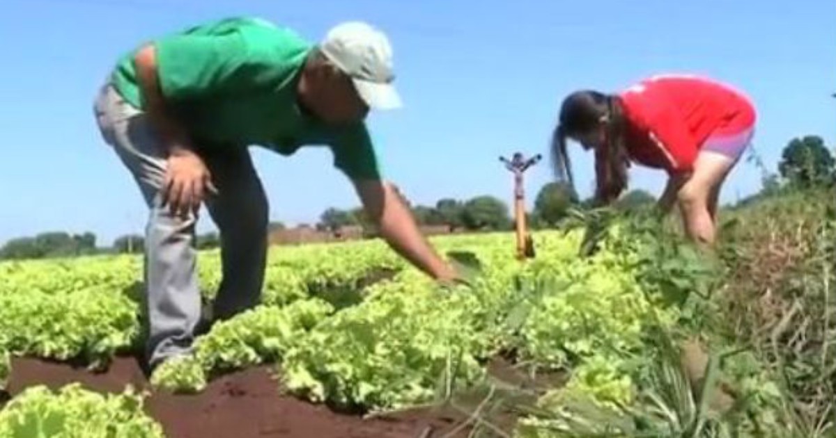 G1 Agricultura Familiar Ganhará Plano De Desenvolvimento Em Mato Grosso Notícias Em Agro Debate 2815