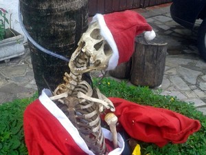 Morador usou esqueleto com roupas de Papai Noel para enfeitar fachada da casa em Itu (Foto: Arquivo pessoal)